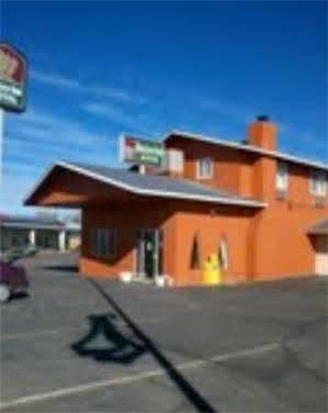 Grizzly Inn Motel Alamosa Exteriör bild